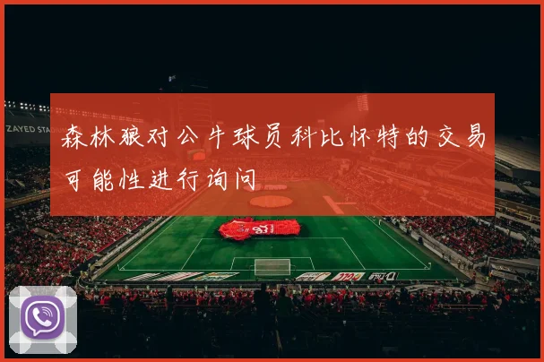 森林狼对公牛球员科比怀特的交易可能性进行询问