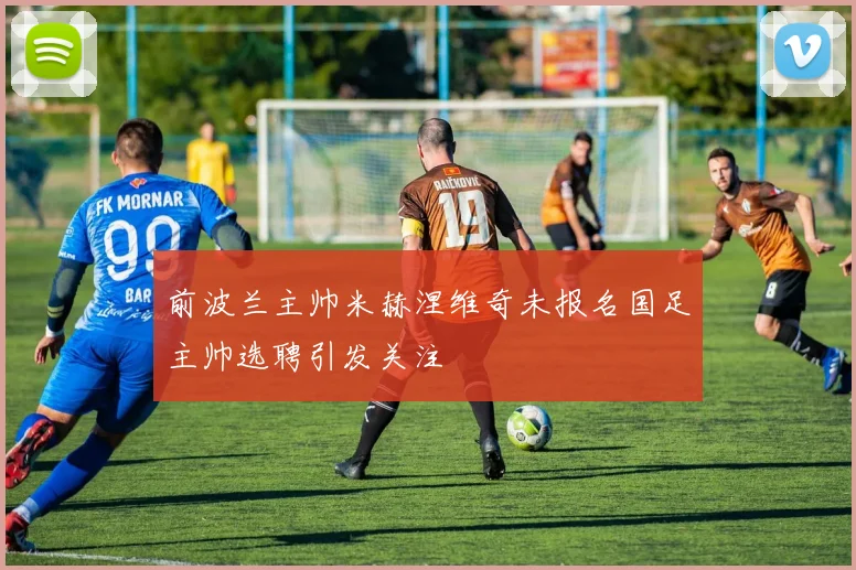前波兰主帅米赫涅维奇未报名国足主帅选聘引发关注
