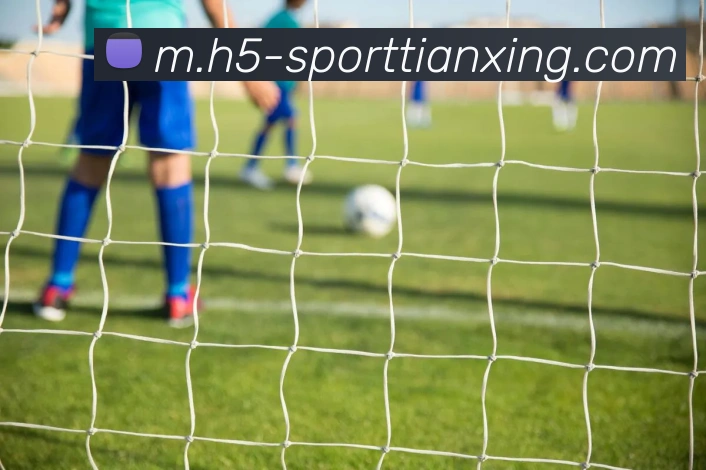 App Interface Preview