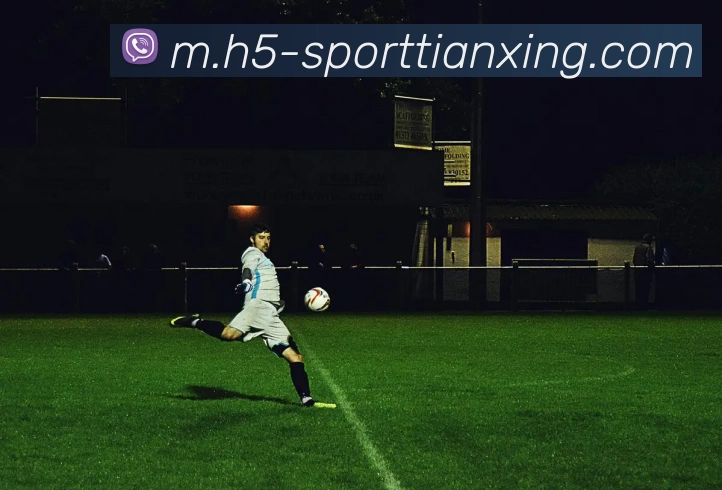 天行体育APP 封面图